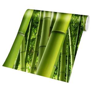 Papier peint intissé Bamboo Trees Papier peint - Vert - 384 x 255 cm