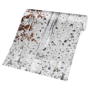Fotomurale Alberi bianchi in autunno Tessuto non tessuto - Bianco - 384 x 255 cm