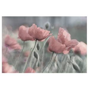 Vliestapete Malerische Mohnblumen Vliespapier - Pink - 384 x 255 cm