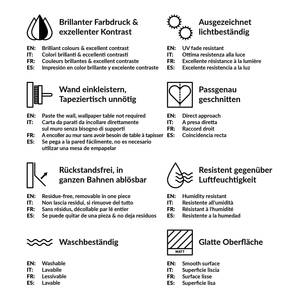 Vliestapete Politische Weltkarte Vliespapier - Mehrfarbig - 432 x 290 cm