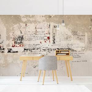 Fotomurale Muro di cemento Tessuto non tessuto - Beige - 384 x 255 cm