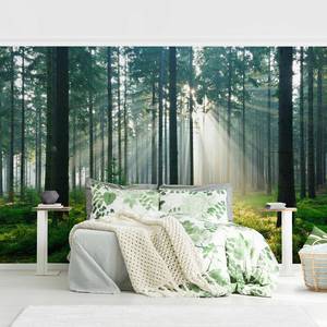 Vliesbehang Enlightened Forest vliespapier - groen - 384 x 255 cm