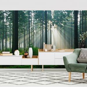 Vliesbehang Enlightened Forest vliespapier - groen - 432 x 290 cm