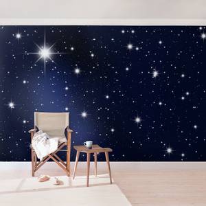 Vliesbehang Stars vliespapier - zwart - 384 x 255 cm
