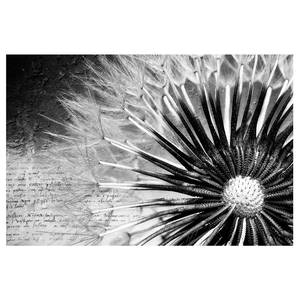 Vliesbehang Paardenbloem II vliespapier - zwart/wit - 432 x 290 cm