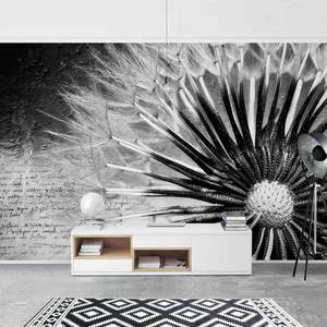 Vliesbehang Paardenbloem II vliespapier - zwart/wit - 432 x 290 cm