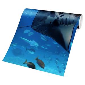 Vliesbehang Manta Ray vliespapier - blauw - 384 x 255 cm