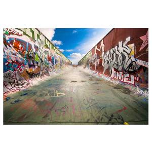 Vliesbehang Skate Graffiti vliesbehang - meerdere kleuren - 432 x 290 cm