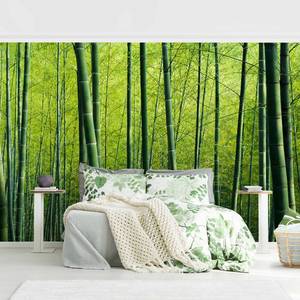 Fotomurale Foresta di bambù Tessuto non tessuto - Verde - 384 x 255 cm