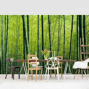 Vliesbehang Bamboo Forest vliespapier - groen - 384 x 255 cm