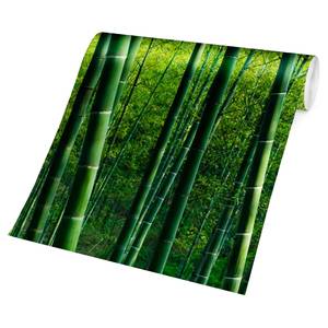 Vliesbehang Bamboo Forest vliespapier - groen - 384 x 255 cm