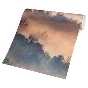 Vliesbehang Mist bij Zonsondergang vliespapier - beige - 384 x 255 cm