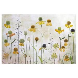 Vliesbehang Delicate Helenium bloemen vliespapier - beige - 384 x 255 cm