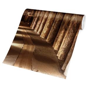Fotomurale Miniera Tessuto non tessuto - Marrone - 384 x 255 cm