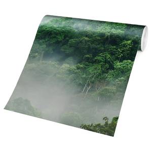 Papier peint intissé Jungle dans l’ombre Papier peint - Vert - 432 x 290 cm