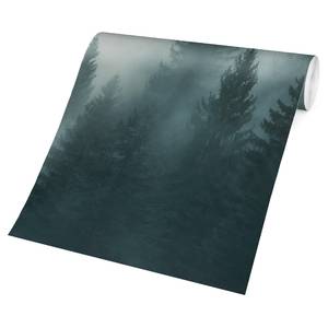 Vliestapete Nadelwald im Nebel Vliespapier - Beige - 384 x 255 cm