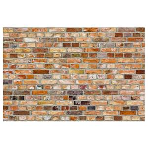 Fotomurale Colours of the Wall Tessuto non tessuto - Rosso - 432 x 290 cm