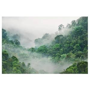 Vliestapete Dschungel im Nebel Vliespapier - Grün - 384 x 255 cm