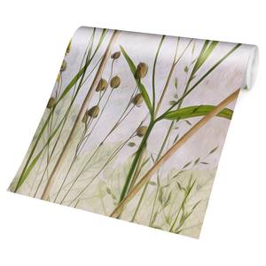 Vliestapete Allium und Helenium Vliespapier - Beige - 432 x 290 cm