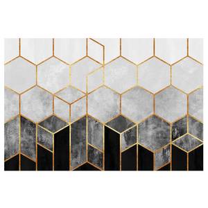 Papier peint intissé Hexagone doré Papier peint - Noir / Blanc - 432 x 290 cm