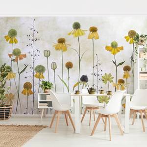 Vliestapete Zarte Helenium Blüten Vliespapier - Beige - 432 x 290 cm