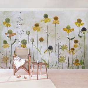 Vliestapete Zarte Helenium Blüten Vliespapier - Beige - 432 x 290 cm