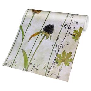 Vliesbehang Delicate Helenium bloemen vliespapier - beige - 432 x 290 cm