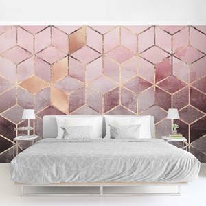 Vliesbehang Gouden Geometrie Vliespapier - Grijs/roze - 432 x 290 cm