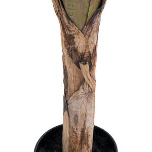 Albero artificiale Banano Verde - 80cm x 163cm x 105cm