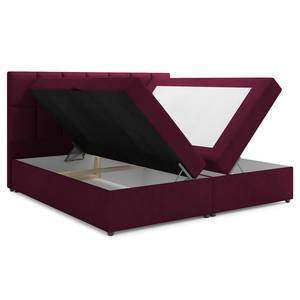 Boxspringbett Fira Beere - 200 x 200cm