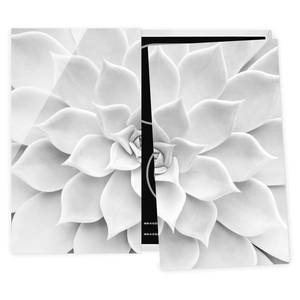 Herdabdeckplatte Kaktus Sukkulente Sicherheitsglas - Schwarz / Weiß - 60 x 52 cm
