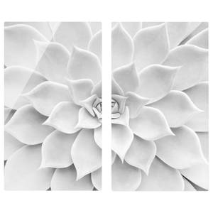 Herdabdeckplatte Kaktus Sukkulente Sicherheitsglas - Schwarz / Weiß - 60 x 52 cm