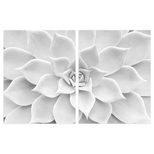 Fornuisafdekplaat Cactus Sukkulente veiligheidsglas - zwart/wit - 80 x 52 cm