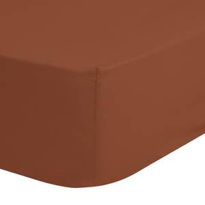 Jersey-Spannbettlaken Henty Baumwolle - Terracotta - 200 x 220 cm