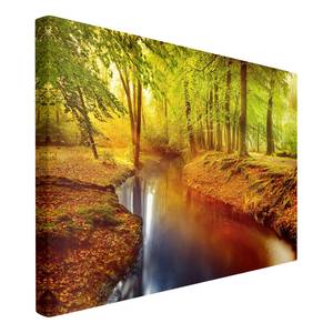 Leinwandbild Herbstwald I Orange - 60 x 40 x 2 cm - Breite: 60 cm