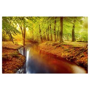 Impression sur toile Automne I Orange - 60 x 40 x 2 cm - Largeur : 60 cm