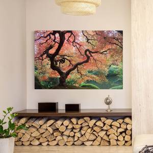 Canvas Giardino giapponese I Rosso - 60 x 40 x 2 cm - Larghezza: 60 cm