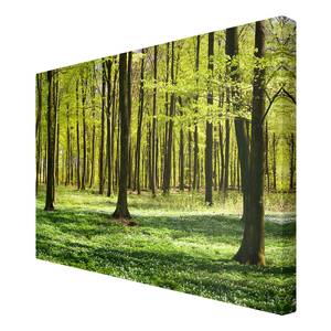 Impression sur toile Prairies I Vert - 120 x 80 x 2 cm - Largeur : 120 cm
