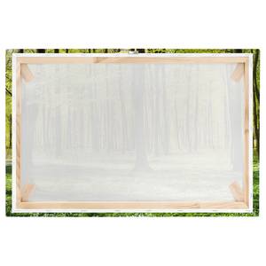 Impression sur toile Prairies I Vert - 120 x 80 x 2 cm - Largeur : 120 cm