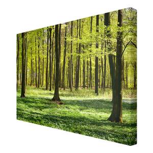 Impression sur toile Prairies I Vert - 90 x 60 x 2 cm - Largeur : 90 cm