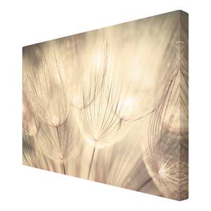 Afbeelding Paardenbloemen III beige - 120 x 80 x 2 cm - Breedte: 120 cm