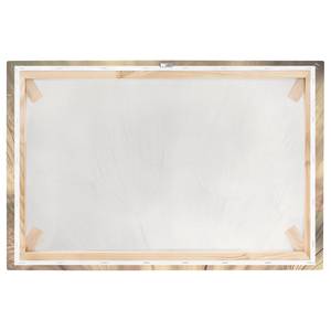 Canvas Dente di leone III Beige - 120 x 80 x 2 cm - Larghezza: 120 cm