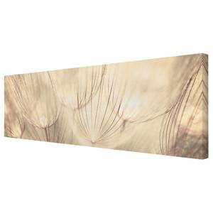 Leinwandbild Pusteblumen I Beige - 120 x 40 x 2 cm - Breite: 120 cm