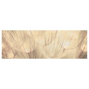 Leinwandbild Pusteblumen I Beige - 150 x 50 x 2 cm - Breite: 150 cm