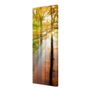 Canvas Morning Light I Arancione - 50 x 150 x 2 cm - Larghezza: 50 cm