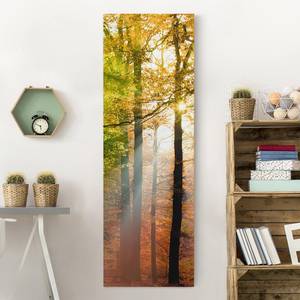 Leinwandbild Morning Light I Orange - 50 x 150 x 2 cm - Breite: 50 cm