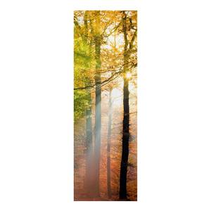 Afbeelding Morning Light I oranje - 50 x 150 x 2 cm - Breedte: 50 cm