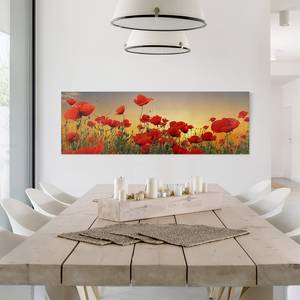 Leinwandbild Mohnblumenfeld I Rot - 150 x 50 x 2 cm - Breite: 150 cm