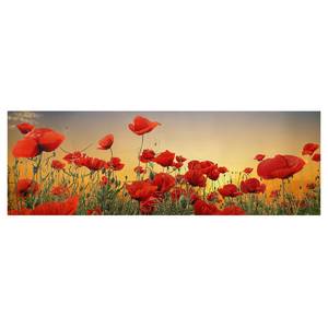 Afbeelding Klaprozenveld I rood - 150 x 50 x 2 cm - Breedte: 150 cm