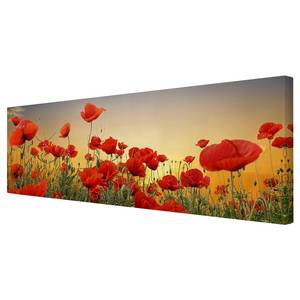 Leinwandbild Mohnblumenfeld I Rot - 150 x 50 x 2 cm - Breite: 150 cm